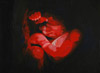 bild6