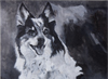 bild8